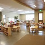 Creative Montessori School Photo - Primary Classroom (Ages 3-6)