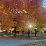 Dawson School Photo - Dawson School sits on a beautiful 107-acre campus, serving families from Boulder, Longmont, Broomfield, Erie, Lafayette, Louisville, and the surrounding area