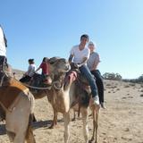 Denver Jewish Day School Photo - 10th graders in the Negev desert region of Israel on their annual six week Hebrew and Israel immersion experience.