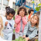 Lycee Francais de San Francisco LFSF Photo - Main subjects, from science to writing and reading, are introduced in preschool, and revisited, year after year, each time more in depth.