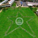 Mary Star Of The Sea School Photo - Mary, Star of the Sea School's beautiful campus