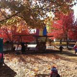 Monarch Montessori School Photo - A crisp Fall day on the playground