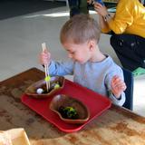 Sidewalk's End Montessori School Photo - Transferring with chop sticks in the Practical LIfe section of the classroom helps the children learn the use of chop sticks, improves hand-eye coordination and strengthens the hand in preparation for writing.