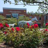 The Lexington School Photo - A 40 acre campus with native woods, creek, athletic fields, 3 playgrounds, a school garden, walking paths, even chickens and honey bees makes for a backyard experience like no other school in the region. It's all here.