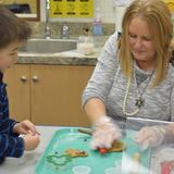 Woodbury Lutheran Preschool & Kindergarten Photo